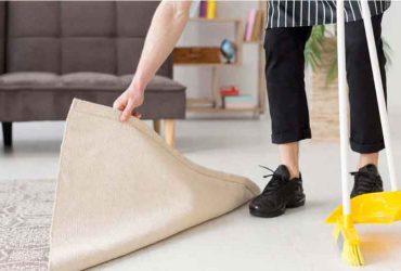 Elazığ-ev-temzlik-firması