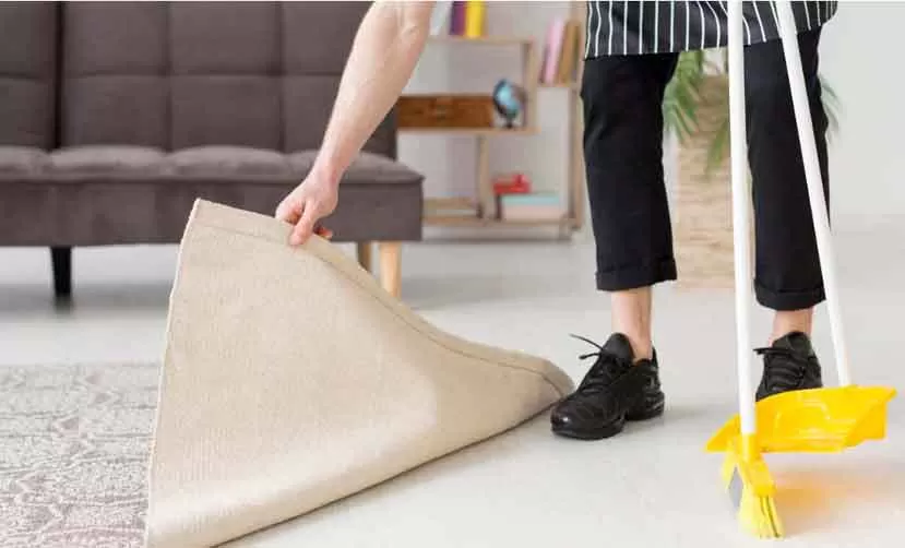 Elazığ-ev-temzlik-firması